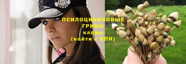 прущие крисы Беломорск