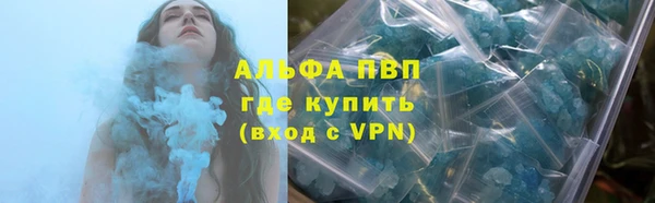 индика Богданович