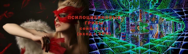a pvp Богородицк
