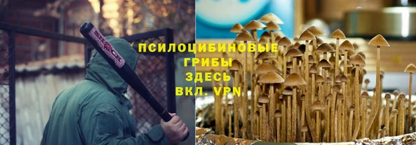 стаф Белокуриха
