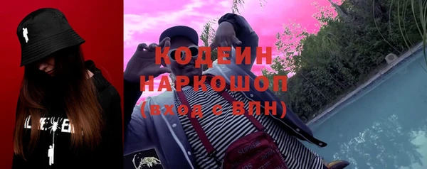 индика Богданович