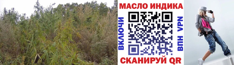 ТГК концентрат  Бодайбо 